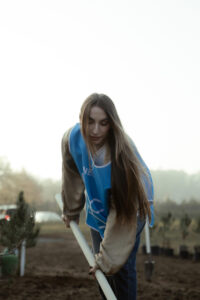 image-17637107426438717701_1200x630