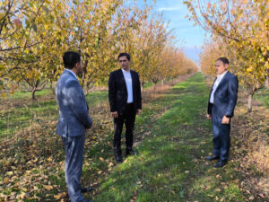 image-1763732708150004103_1200x630