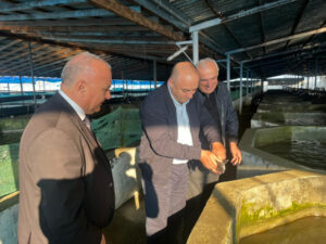 image-17637329685487613606_1200x630