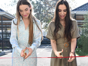 image-17637397143749634934_1200x630