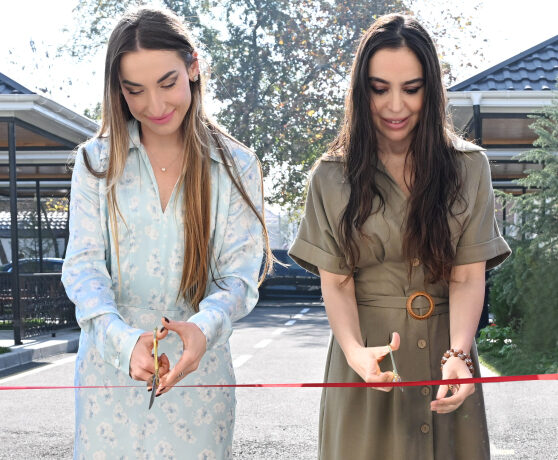 image-17637397143749634934_1200x630