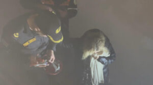 image-17637453685166759597_1200x630