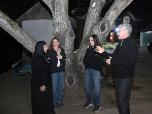 image-17637460681519453953_1200x630