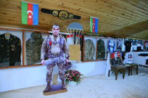 image-17637460683606210857_1200x630