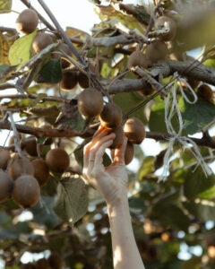 image-17637960592877124498_1200x630