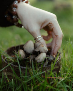 image-1763796059469217907_1200x630