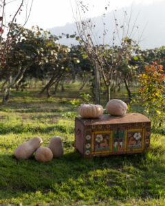 image-17637960595575515796_1200x630