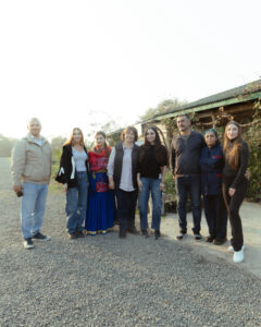 image-17637960595592217675_1200x630