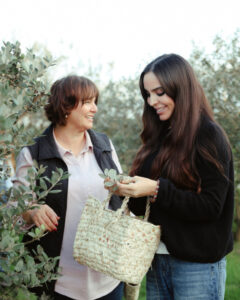 image-17637960596219417469_1200x630