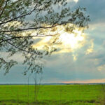 image-1763807039264714079_1200x630