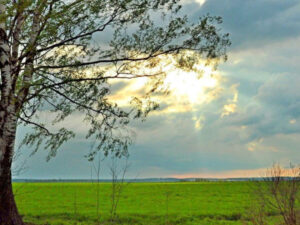 image-1763807039264714079_1200x630