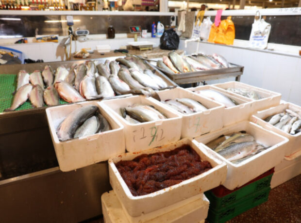 image-1763991259456411364_1200x630