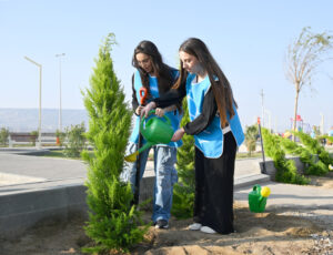 image-17639915475026732079_1200x630