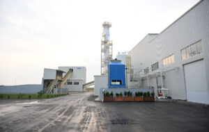 image-17642324473817621400_1200x630