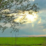 image-17644082034863923612_1200x630