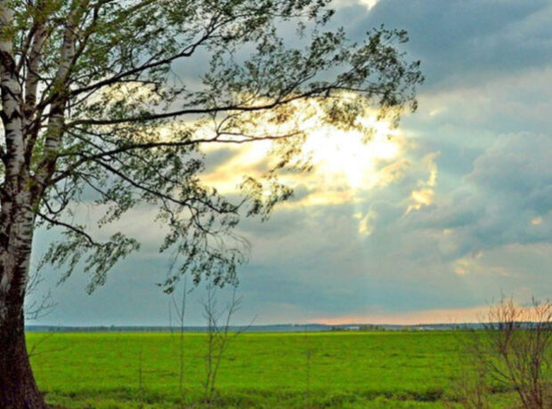 image-17644082034863923612_1200x630