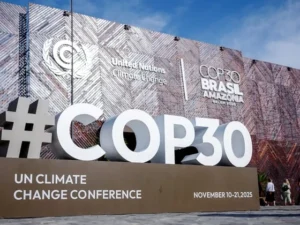 image-4dd39edc-bc20-4d25-ac48-0f9ae5a444a0