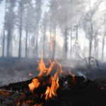 image-6905a6b302e8bd6b9e7c9657