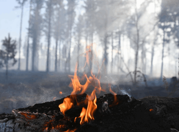 image-6905a6b302e8bd6b9e7c9657