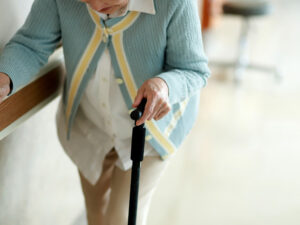 image-6905d254ae5ac974b733942d