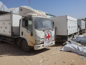 image-69063c47ae5ac90b9846693c