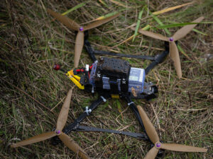 image-6909216cae5ac90caf33c7b8