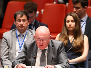 image-69114c6fae5ac95fd465e127