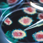 image-6911f94bae5ac92496548af0