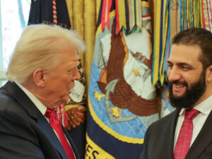 image-69127d06ae5ac933b011c260