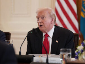 image-691288e4ae5ac9103b209d3e