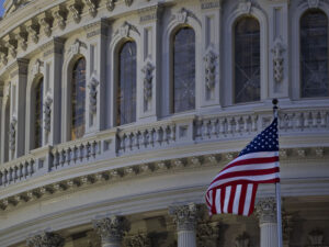 image-6912a1a802e8bd262a7d1115