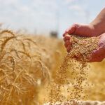 image-691345e3ae5ac97d9e6d075e