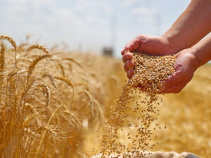 image-691345e3ae5ac97d9e6d075e