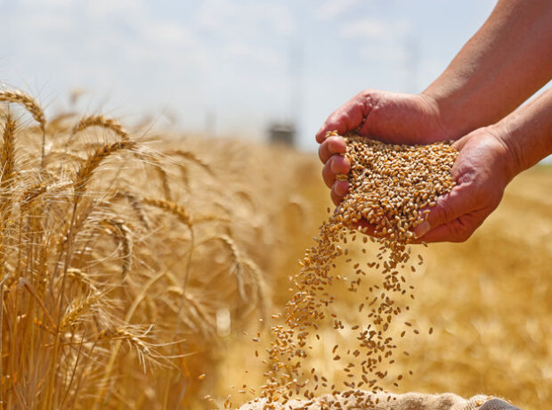 image-691345e3ae5ac97d9e6d075e