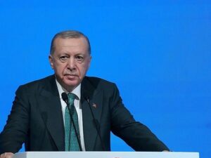 image-69147b22ae5ac9019473a67c