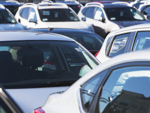 image-6915684eae5ac92a8e2d3420