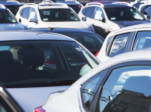 image-6915684eae5ac92a8e2d3420