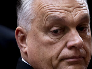 image-6915cfd3ae5ac9526e10e3a0