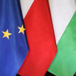 image-6915d33102e8bd1f40144efe