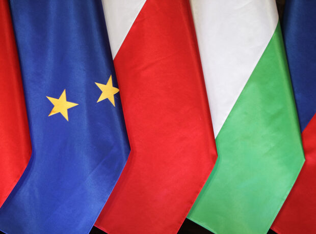 image-6915d33102e8bd1f40144efe