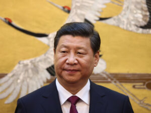 image-6915ef1502e8bd13cd1baf8f