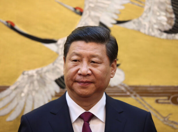 image-6915ef1502e8bd13cd1baf8f