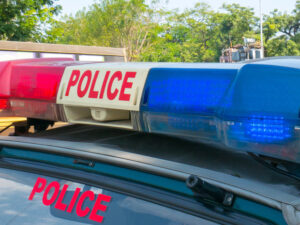 image-691ad8c902e8bd2c03340740