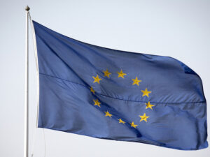 image-691fe53802e8bd211c50be00