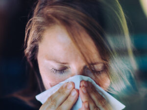 image-6920287502e8bd0d7a646e21