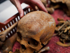 image-69205ce7ae5ac9255816236f