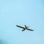 image-6922442702e8bd598f01398c