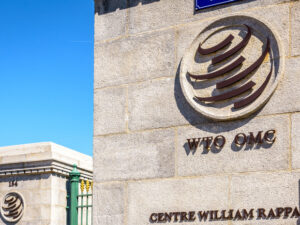 image-6922626f02e8bd72bd47fefe