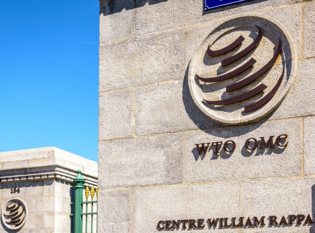 image-6922626f02e8bd72bd47fefe