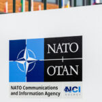 image-69231d4302e8bd166a57e65e